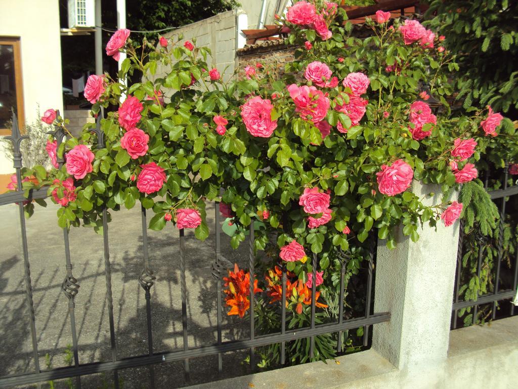 Amfora Guest House Бяла Экстерьер фото