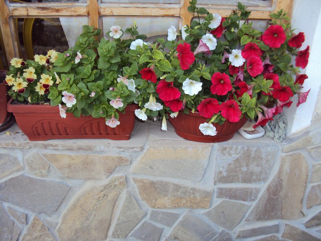 Amfora Guest House Бяла Экстерьер фото
