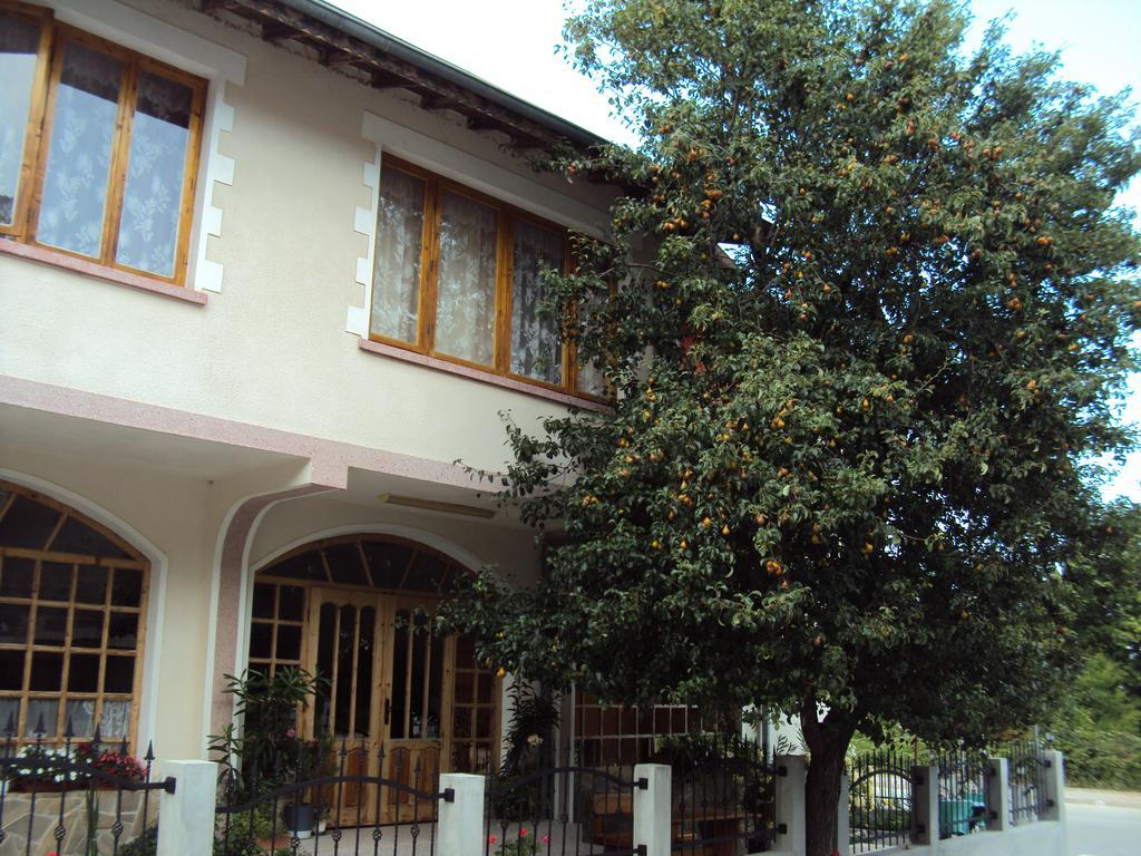 Amfora Guest House Бяла Экстерьер фото